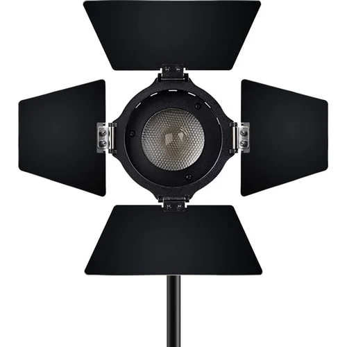Aputure LS mini 20c