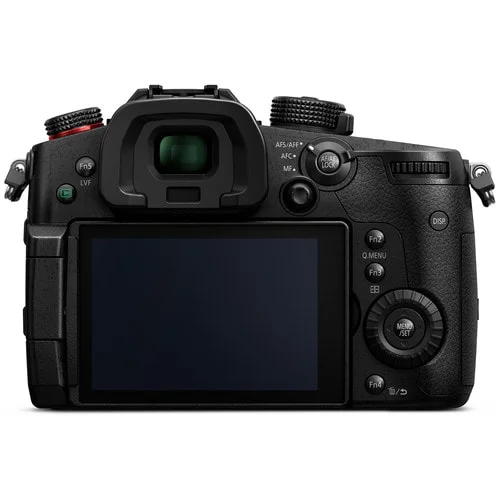 PANASONIC LUMIX GH5s