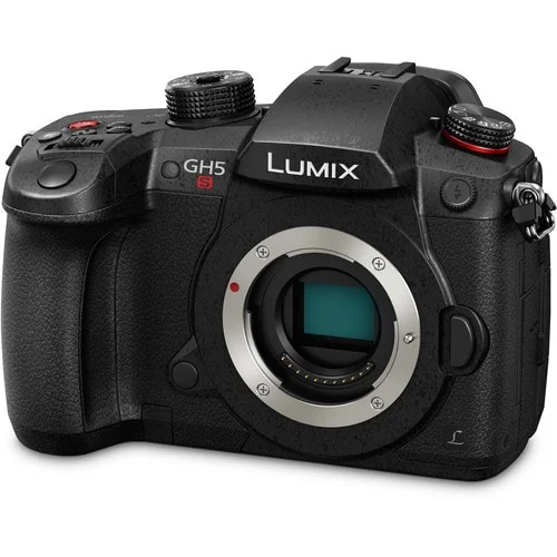 PANASONIC LUMIX GH5s