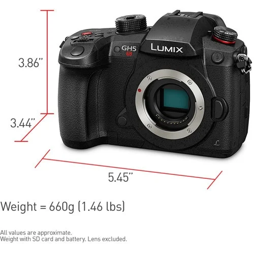 PANASONIC LUMIX GH5s