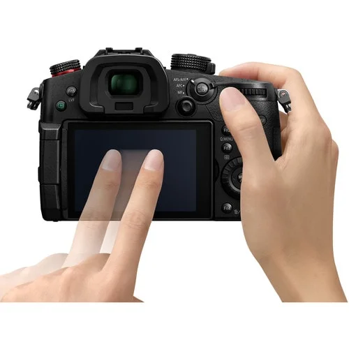 PANASONIC LUMIX GH5s